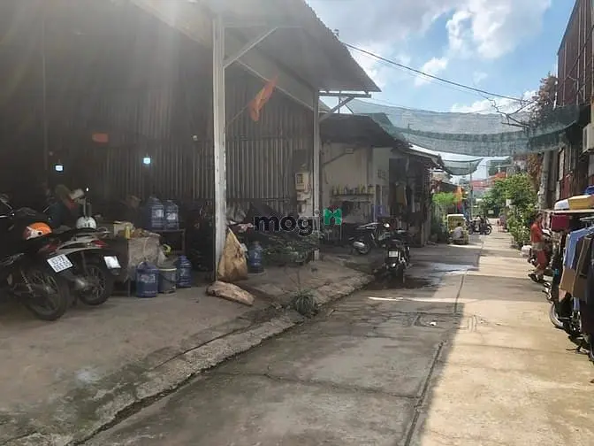 6020221 ảnh đại diện 1