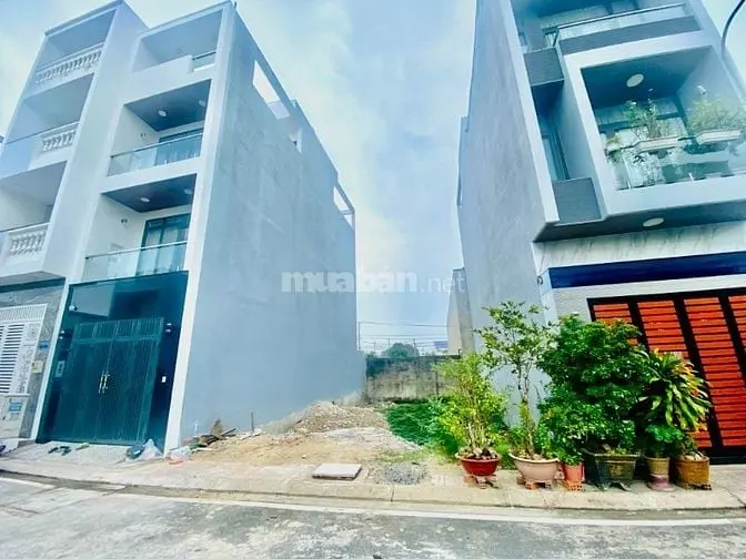 6020313 ảnh đại diện 1
