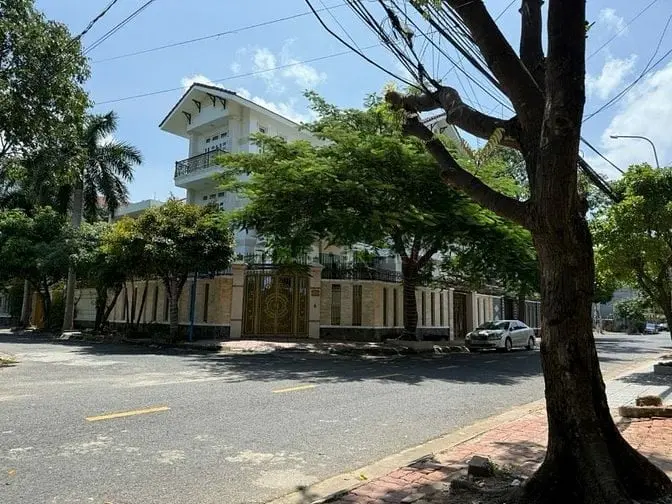 6020586 ảnh đại diện 1