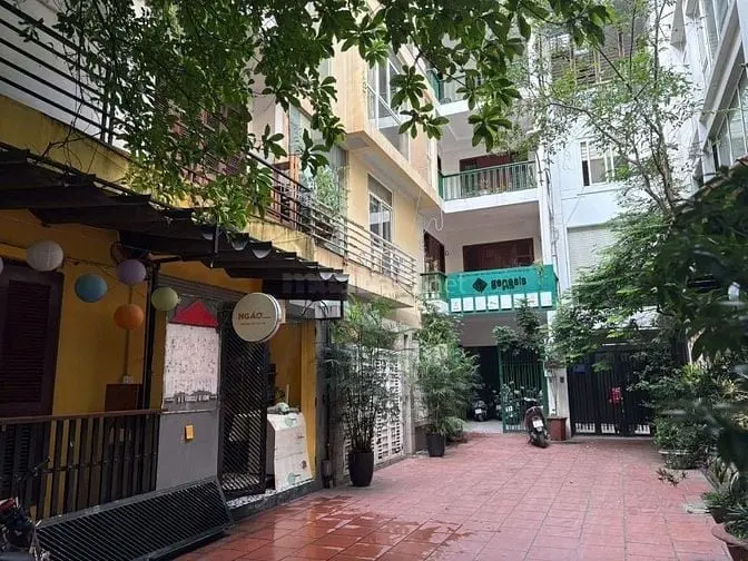 6020778 ảnh đại diện 1