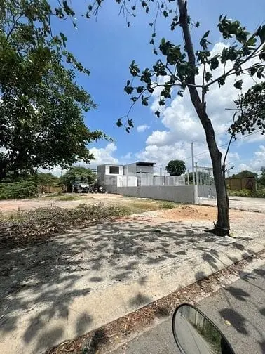 6021052 ảnh đại diện 1