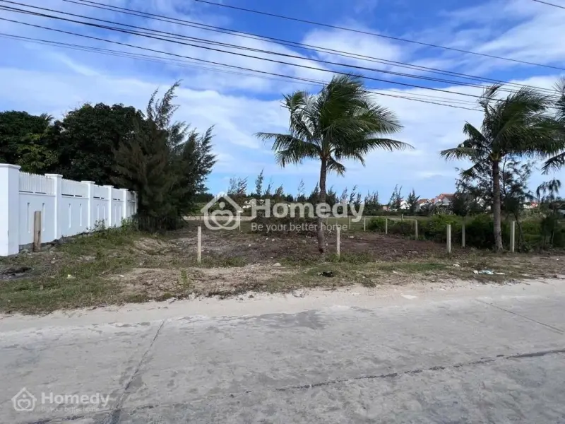 6020799 ảnh đại diện 1