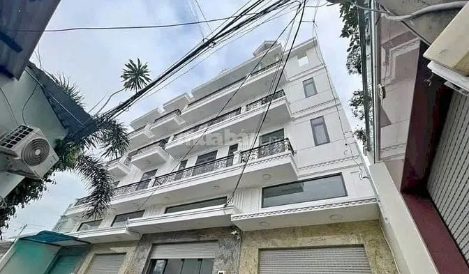 6021121 ảnh đại diện 1