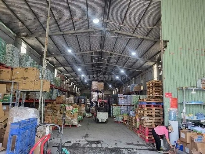 6020965 ảnh đại diện 1