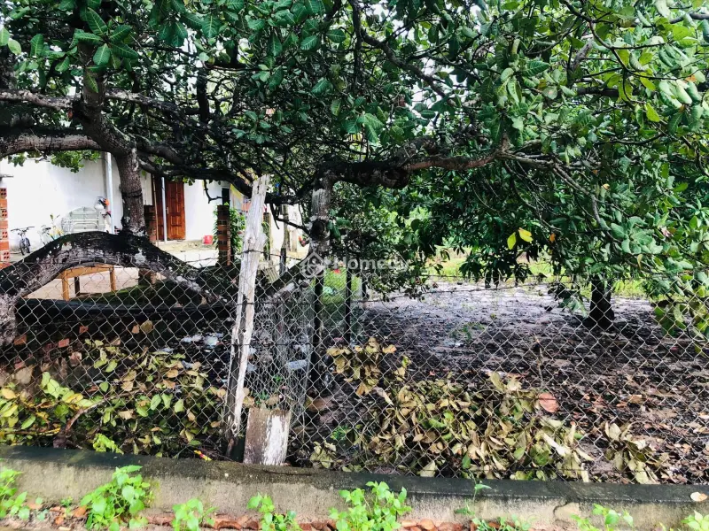 Bán 10M X 27M Đất Hẻm Quốc Lộ 55, Tân Xuân, Hàm Tân Giá Rẻ 800 Triệu