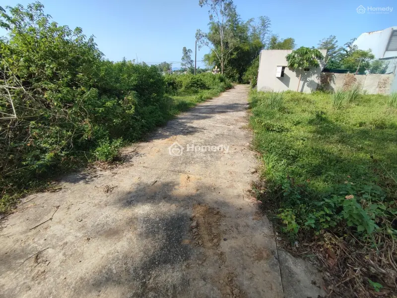 6021241 ảnh đại diện 1