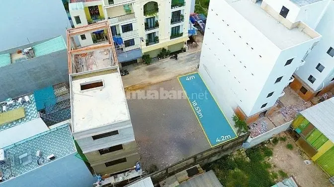 6021171 ảnh đại diện 1