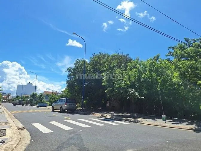6021147 ảnh đại diện 1
