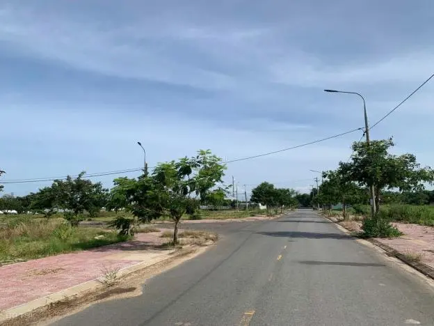 6021079 ảnh đại diện 1