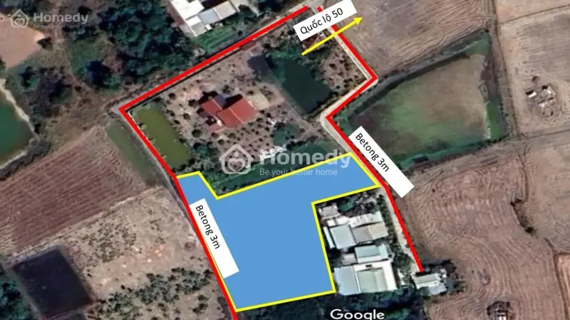 Bán Đất Thổ Lúa Diện Tích Lớn 2 Mặt Tiền, Đường 3,5M Tại Thuận Thành-Cần Giuộc