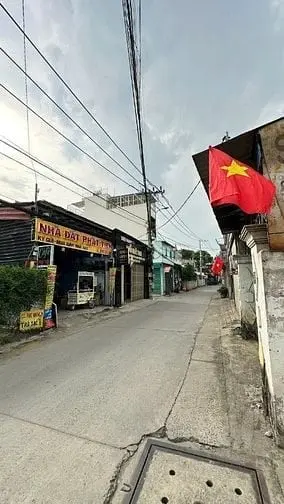 6021101 ảnh đại diện 1