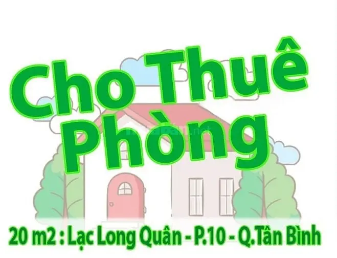 6020857 ảnh đại diện 1