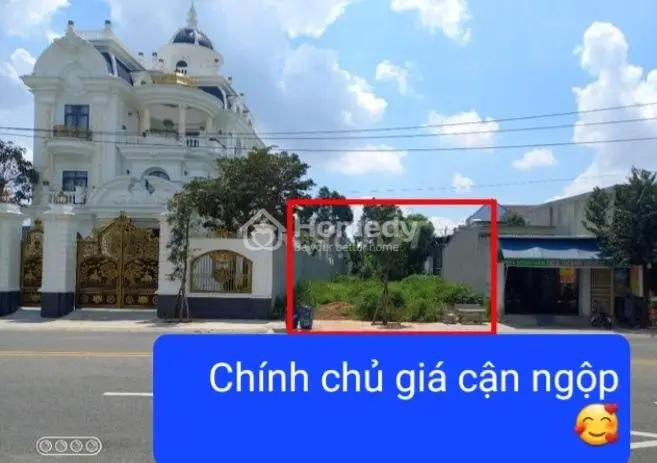 6021302 ảnh đại diện 1