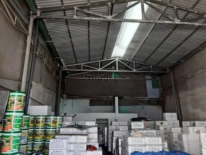 6021191 ảnh đại diện 1