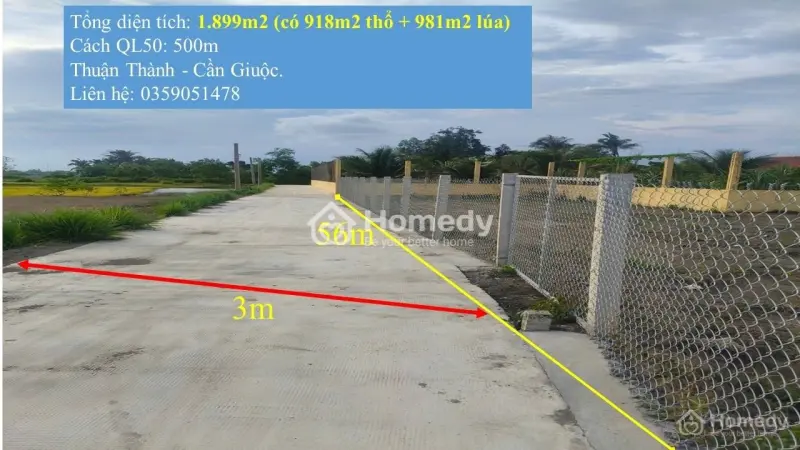 Bán Đất Thổ Lúa Diện Tích Lớn 2 Mặt Tiền, Đường 3,5M Tại Thuận Thành-Cần Giuộc