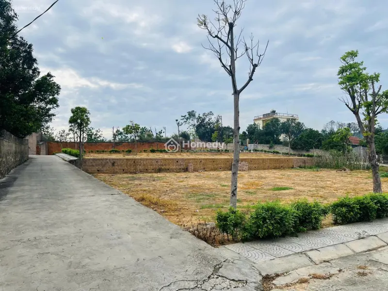 Chính Chủ Đi Nước Ngoài Cần Bán Gấp Lô Đất Ở Phường Mạo Khê Quảng Ninh, Giá Chỉ 9 Triệu/1M2, Shr
