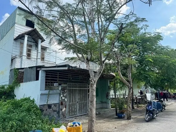 Bán Nhà 4 Tầng 8X20M Full Thổ Cư, 10 Phòng Đang Cho Thuê, Nguyễn Văn T