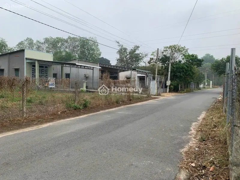 6021270 ảnh đại diện 1