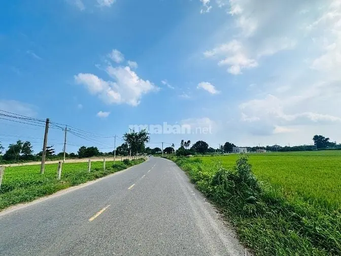 6020882 ảnh đại diện 1