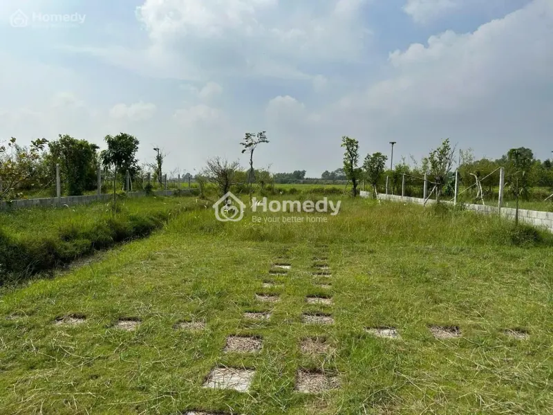 6021142 ảnh đại diện 1