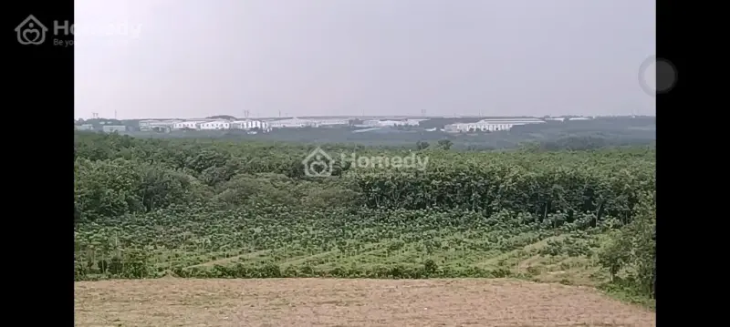 200M2 Mặt Tiền Kinh Doanh Đường Nhựa Khu Công Nghiệp,