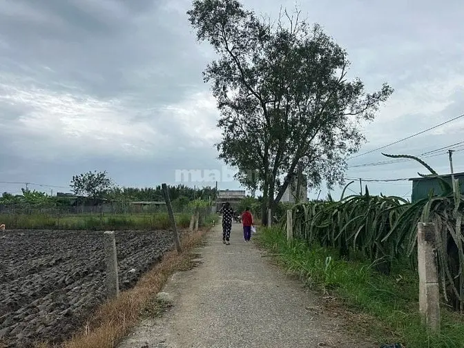6020881 ảnh đại diện 1