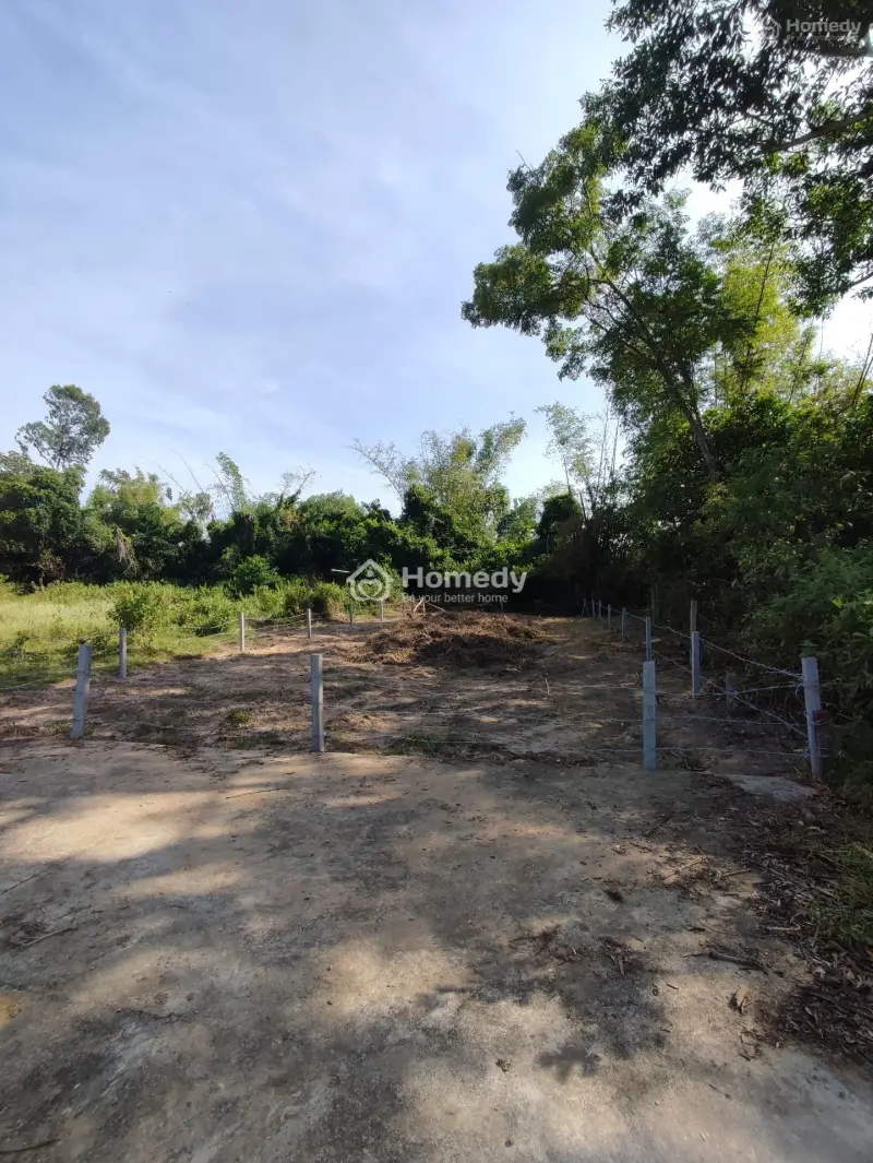 Bán Đất 260M² Điện Bàn Bắc, Giá 1,8 Tỷ, Gần Sông, Lý Tưởng Homestay!