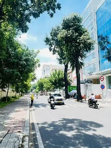 (Tin Thật) Tòa Nhà 369B Nguyễn Trãi - Dt 14X25M - Thu Nhập 10Ty/Năm