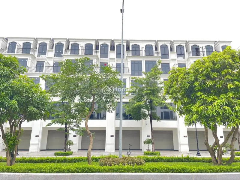 6021232 ảnh đại diện 1