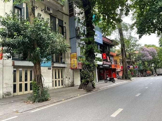 6020835 ảnh đại diện 1