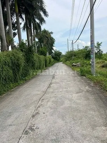 6021309 ảnh đại diện 1