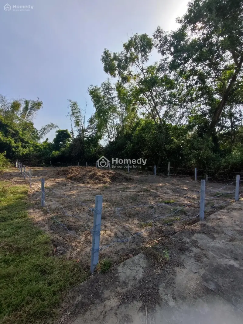 Bán Đất 260M² Điện Bàn Bắc, Giá 1,8 Tỷ, Gần Sông, Lý Tưởng Homestay!