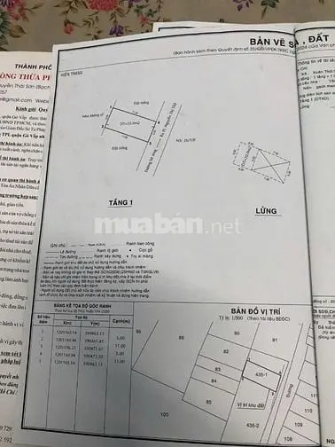 6021215 ảnh đại diện 1