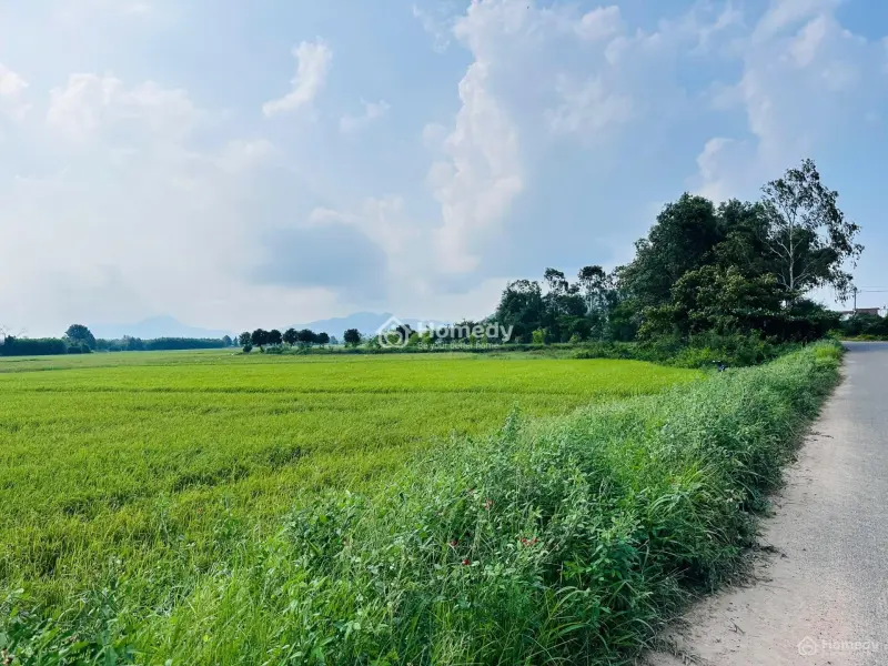 Ngộp Bank 35X49(1580M2) Nguyễn Minh Châu Tân Tiến Gần Biển Giá Cực Rẻ