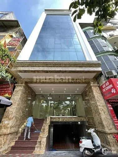 6020923 ảnh đại diện 1