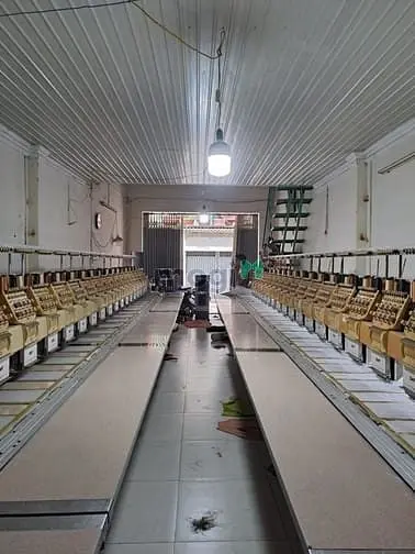 6021506 ảnh đại diện 1