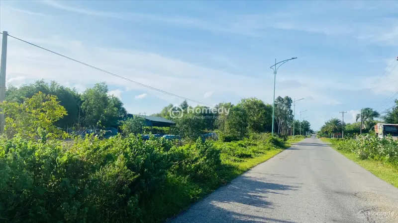 6021963 ảnh đại diện 1