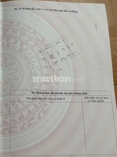 6021697 ảnh đại diện 1