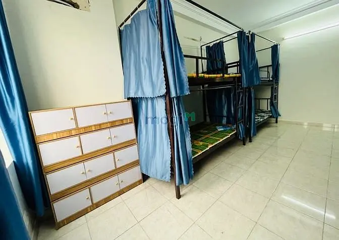 6021798 ảnh đại diện 1