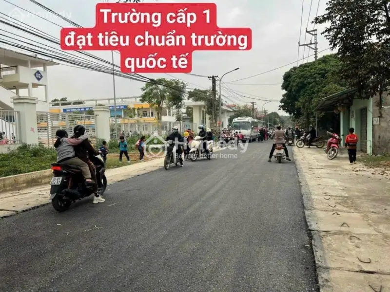 6022087 ảnh đại diện 1