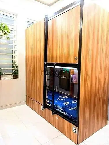 6021612 ảnh đại diện 1