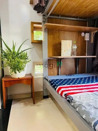 6021523 ảnh đại diện 1