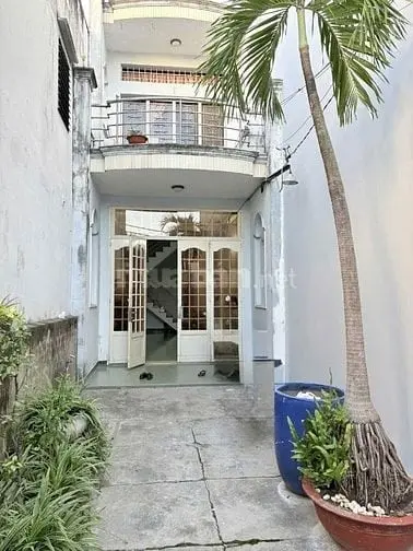 6022002 ảnh đại diện 1