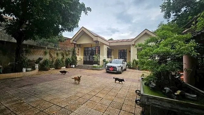6021582 ảnh đại diện 1
