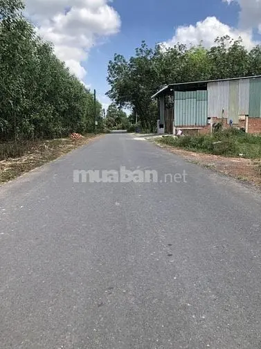 Bán 9,56 Triệu/M2 Đất Ở Cạnh Kcn Giang Điền 529Ha, Đồng Nai + Cách Sân