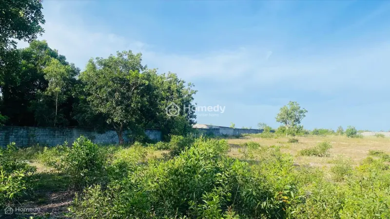 Bán 5650M2 Đất Thổ Cư Đường Trần Quang Diệu, Tân Phước, Lagi Gái Rẻ 3.5Tr/M2