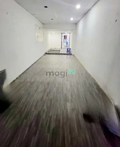 6021381 ảnh đại diện 1