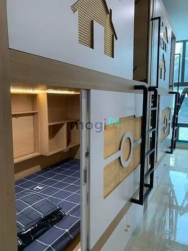 6021355 ảnh đại diện 1