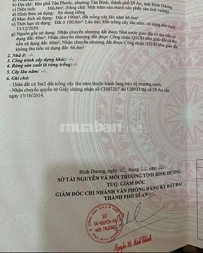 6021562 ảnh đại diện 1