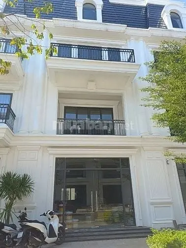 6022050 ảnh đại diện 1
